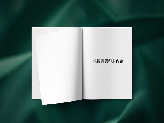 画册