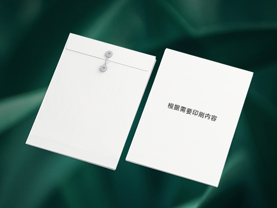档案袋